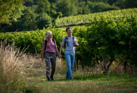 Wandern in Ingelheim am Rhein © Heike Rost