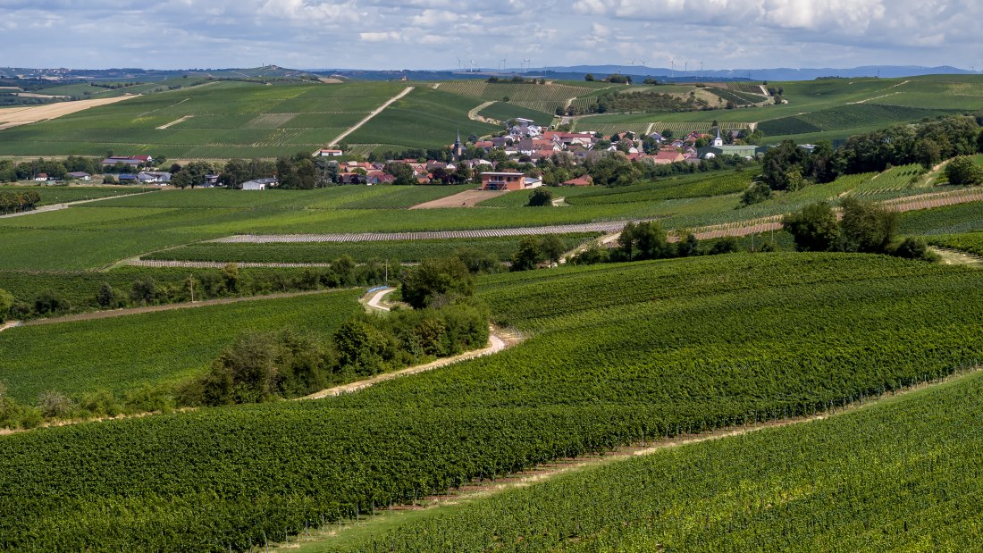 Bornheimer Hähnchen