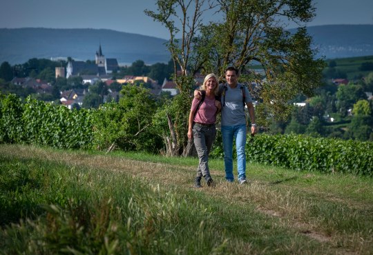 Wanderweg auf dem Mainzer Berg, &copy; Heike Rost