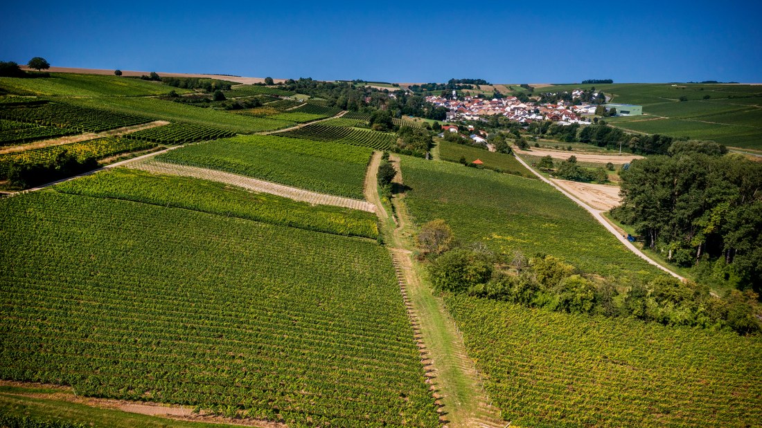 Engelstadter Adelpfad