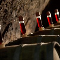 Barrique-Fässer © Jürgen Mett, Wgt. Mett-Weidenbach