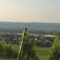 IMG_6869_2048_1536