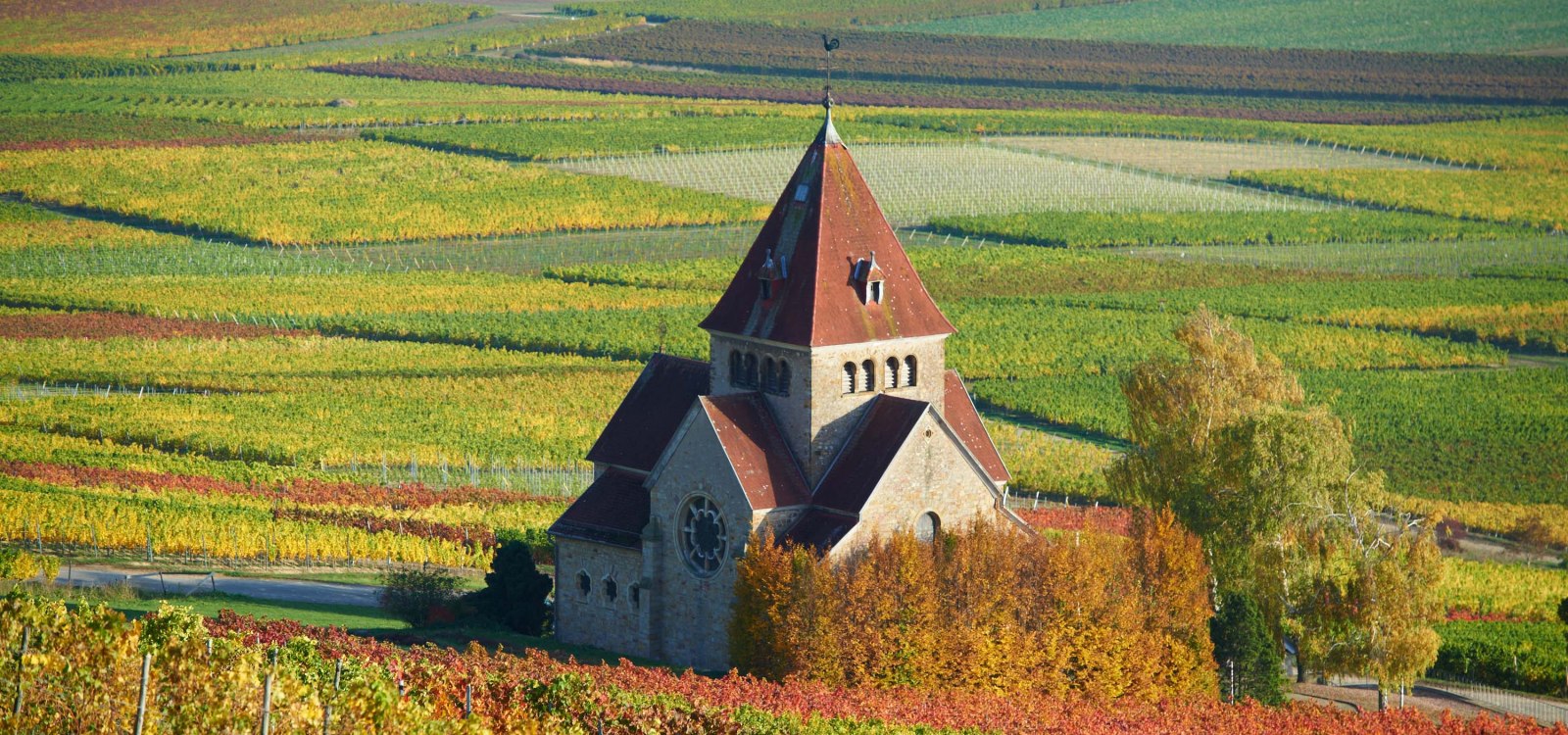 wine_location/wissberg_1.jpg, © Robert Dieth