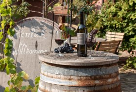 Herzlich Willkommen im Weingut Strub