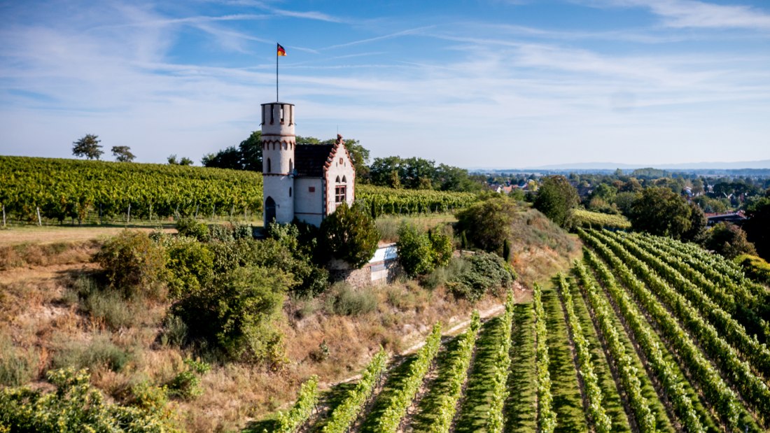 Osthofener Leckzapfen