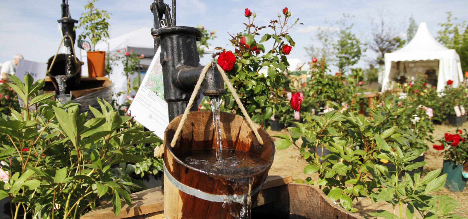 Gardening 2025, © IKuM GmbH/Michael Bellaire