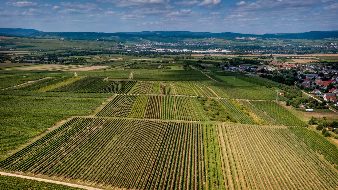 Ockenheimer Hockenmühle