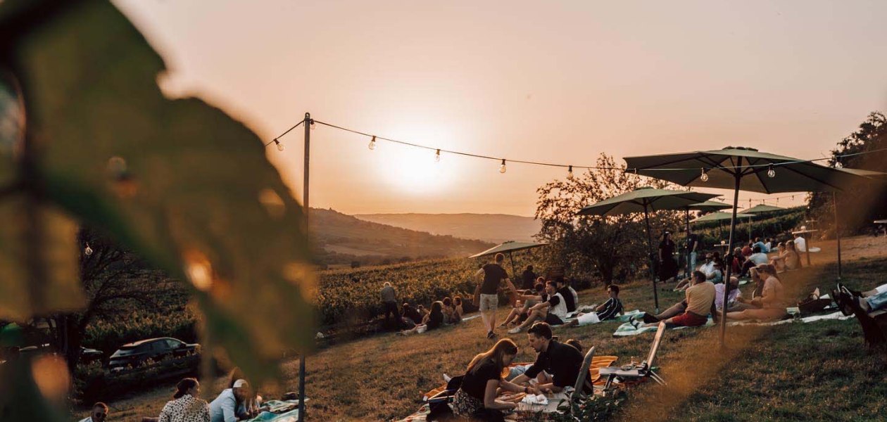 &copy; Max Singer-Fischer