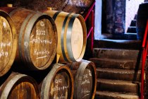 20230905_Weingut_Fischborn_Schenk_Web-41