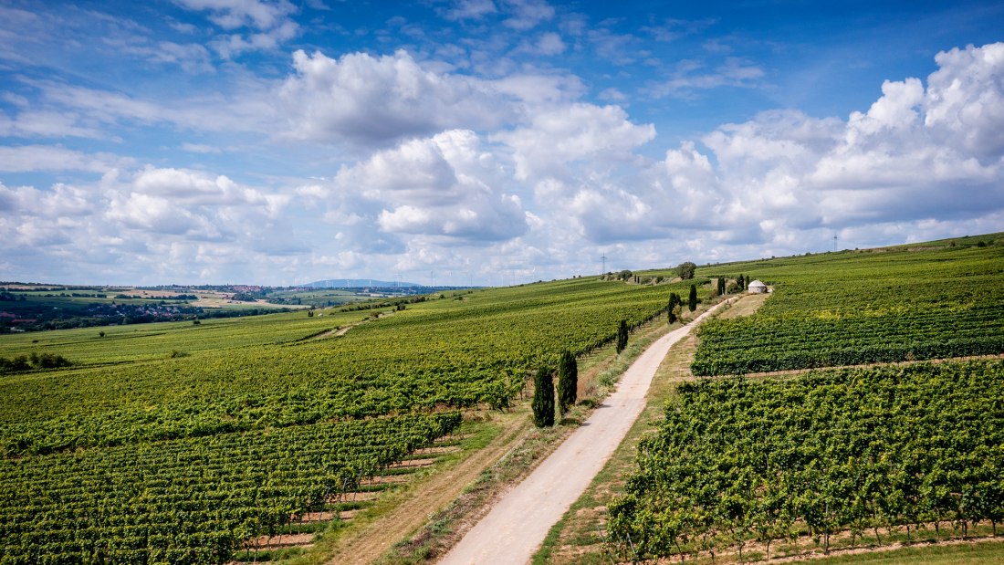 Westhofener Morstein