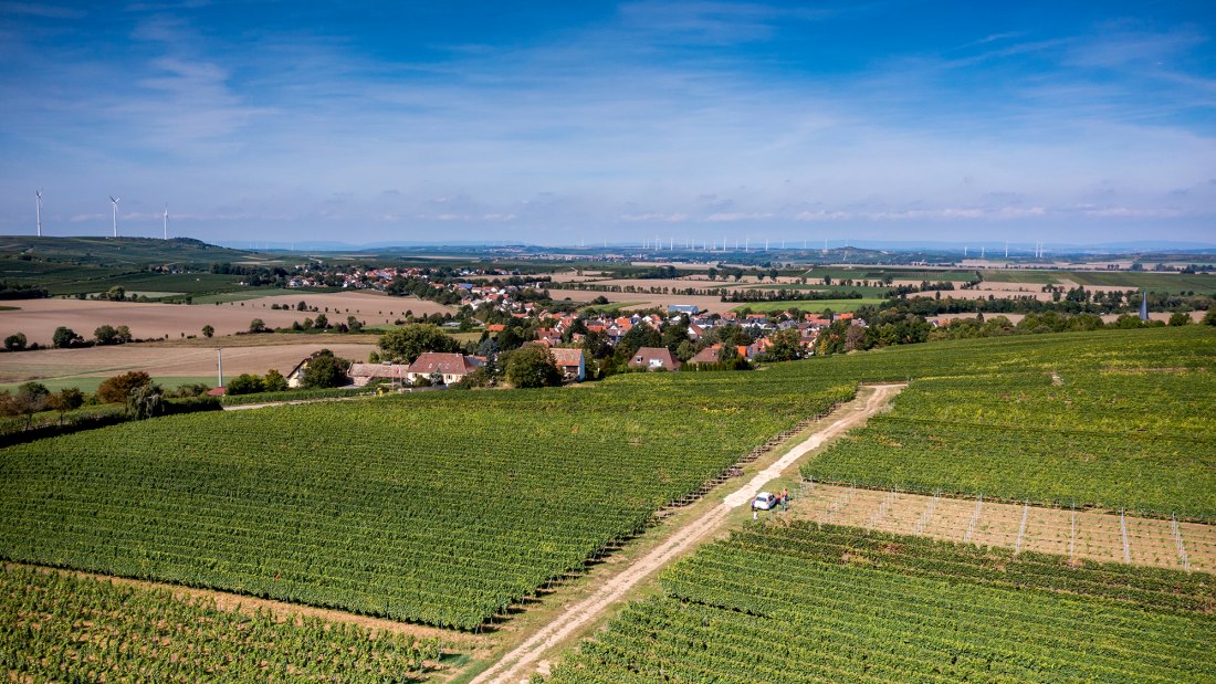 He&szlig;locher Liebfrauenberg
