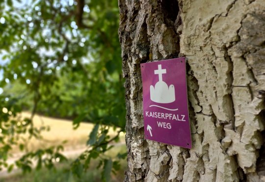 Wegweiser am Kaiserpfalzweg in Ingelheim am Rhein, © Pascal Bernhard
