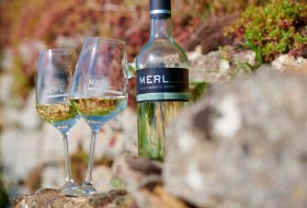 20180418_merl_10879, &copy; Weingut Merl