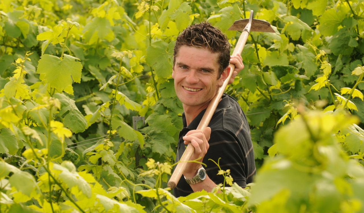 Michel__Gundheim, &copy; Weingut Norbert Michel