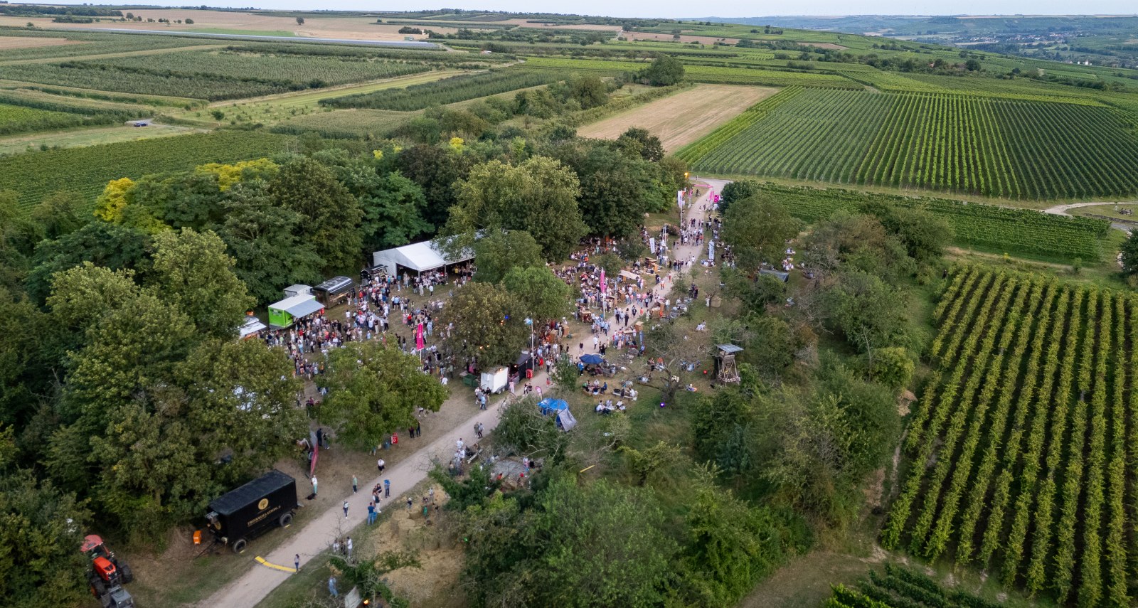 BurgbergUnderVibes, &copy; Stadt Ingelheim_Max Singer-Fischer