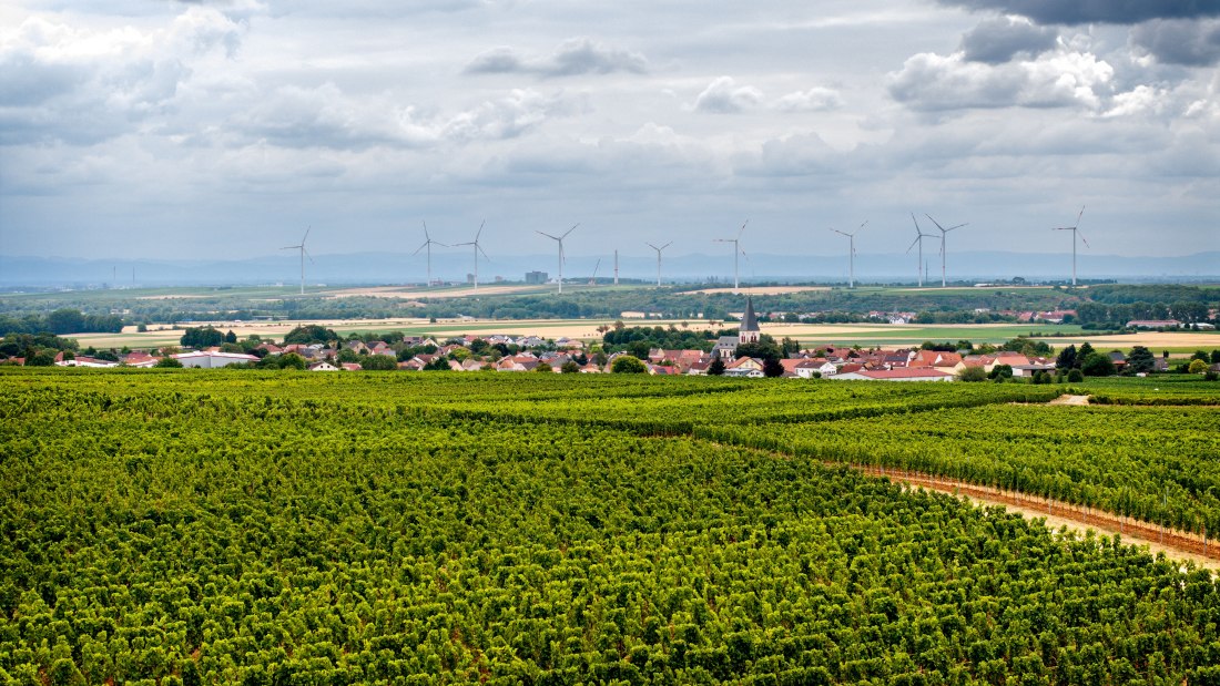 Dalsheimer Sauloch-193 Kopie, &copy; Torsten Silz