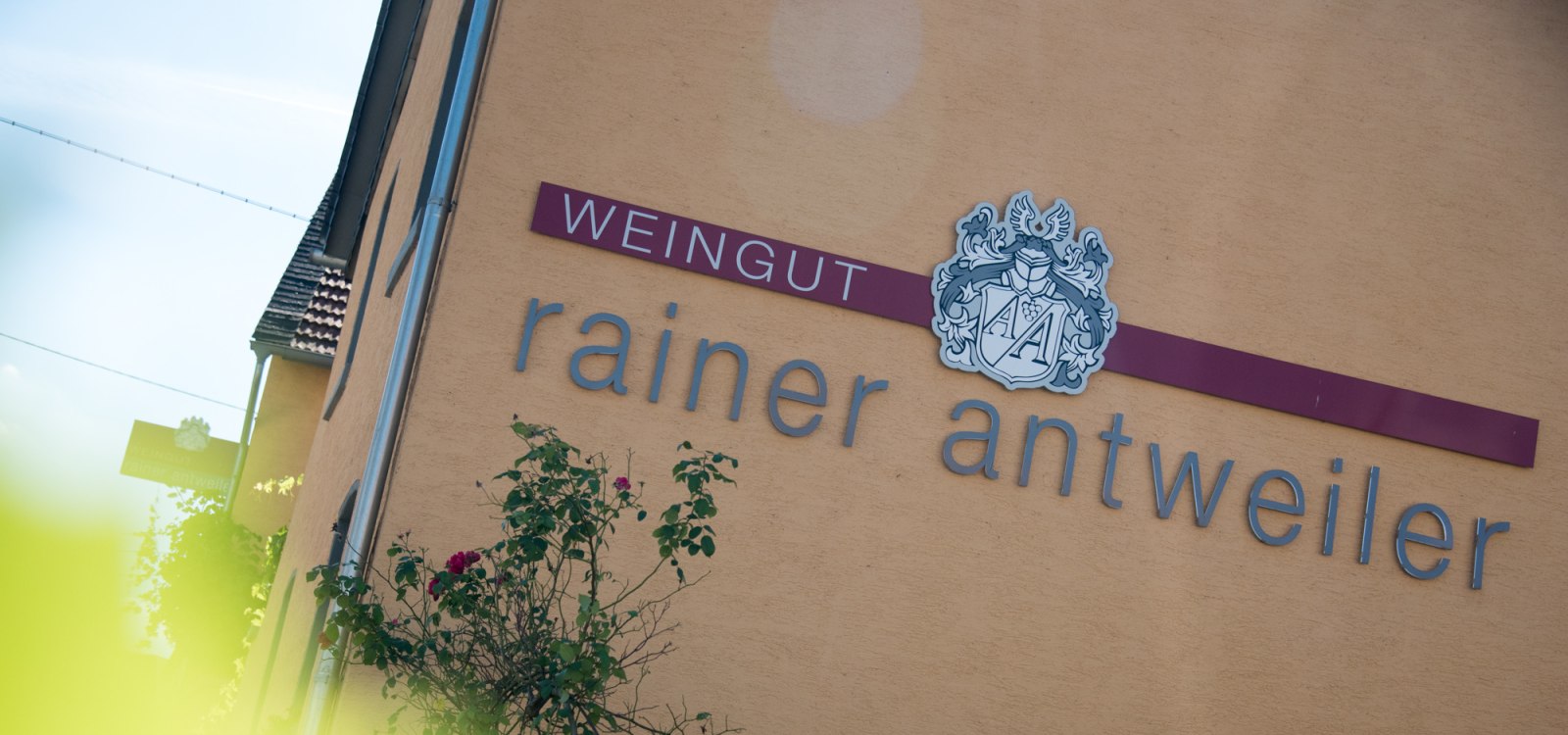 wijnmakerij-antweiler4, &copy; Weingut Antweiler