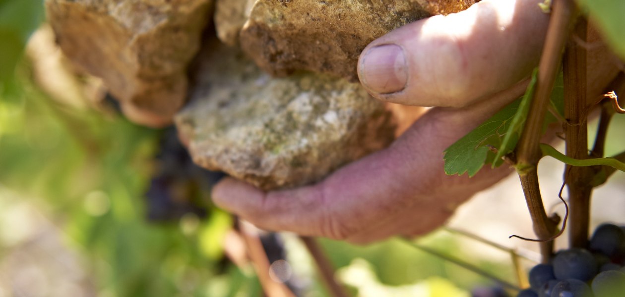 Weingut Michel-Pfannebecker_H&auml;nde, &copy; Weingut Michel-Pfannebecker