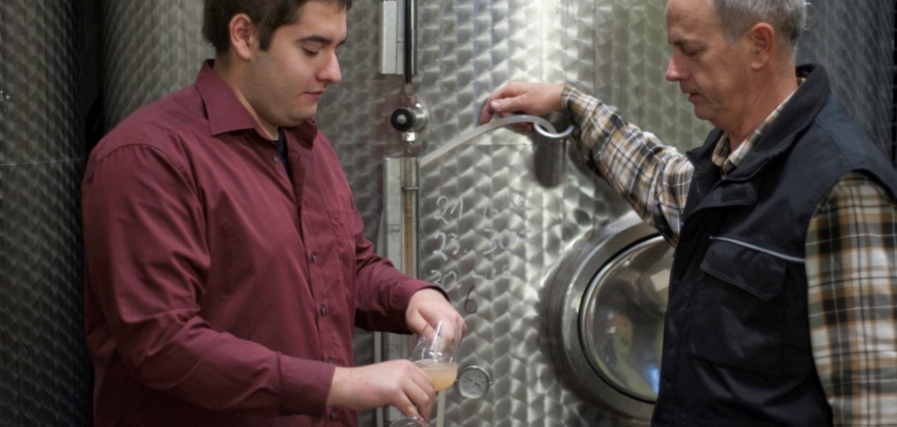 peth-wijnkelder-20134-002, © Weingut Wolfgang & René Peth