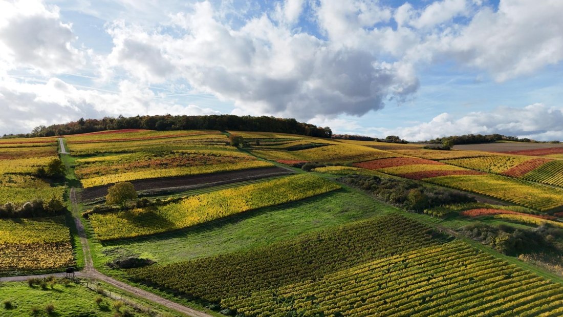 Weingut Breitenbach Herbstlandschaft