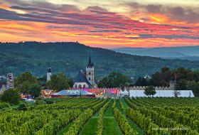 Blick auf das Rotweinfest-Gelände aus den Weinbergen beim Sonnenuntergang. Man sieht das Festgelände rund um die Burgkirche, im Hintergrund den Westerberg mit dem Bismarckturm und das Rheintal. © Rainer Oppenheimer/IKuM GmbH