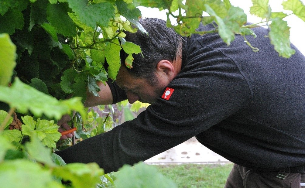 Weingut Bacchushof_Dirk Berges, &copy; Weingut Bacchushof