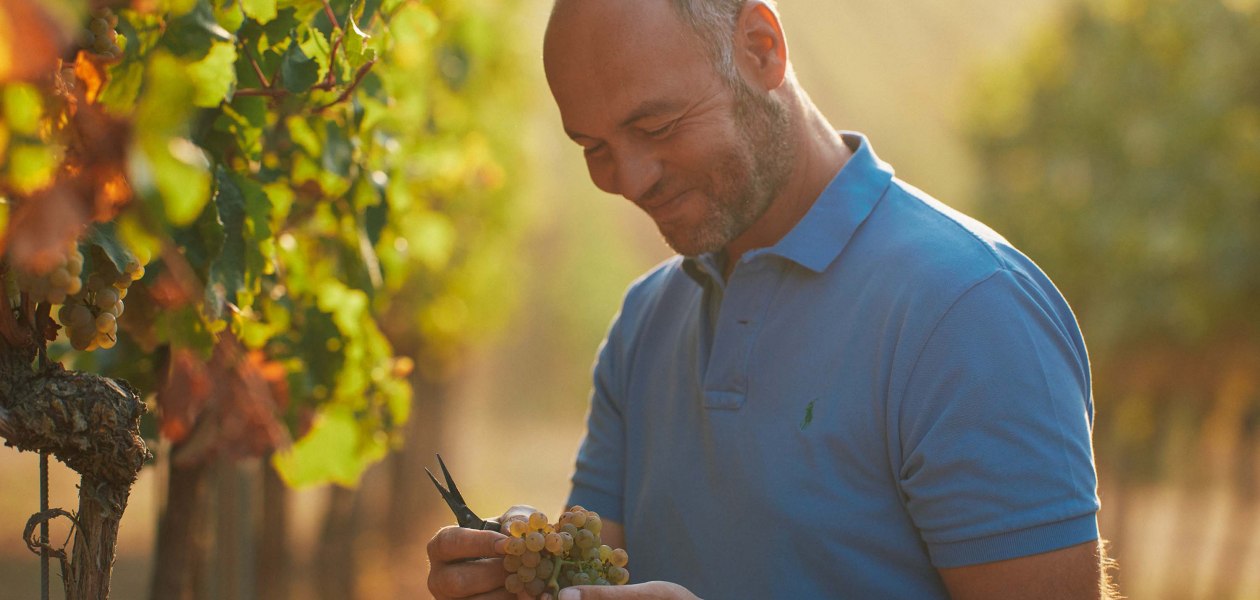 &copy; Weingut Dr. Koehler