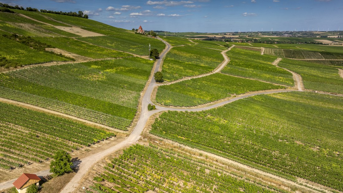 Gau-Bickelheimer Saukopf, © Torsten Silz