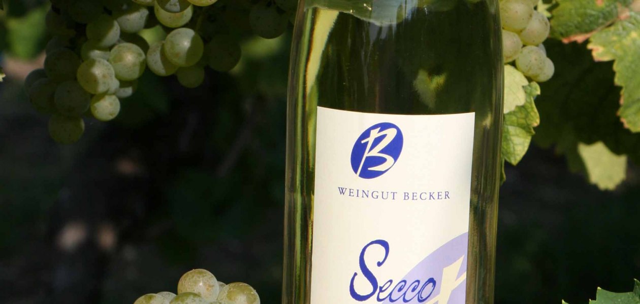 Weingut-Becker_NO_8Internet, &copy; Weingut Becker