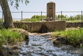 Quelle mit Bach © Verbandsgemeinde Gau-Algesheim
