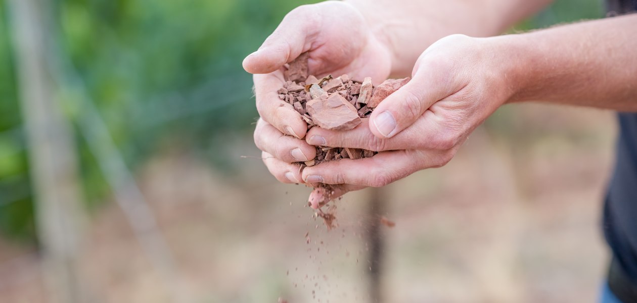 &copy; Weingut Seebrich