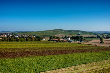 Biebelnheimer Pilgerstein, &copy; Torsten Silz