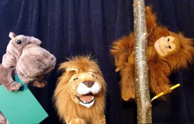 Der Löwe... © Christoph Frank