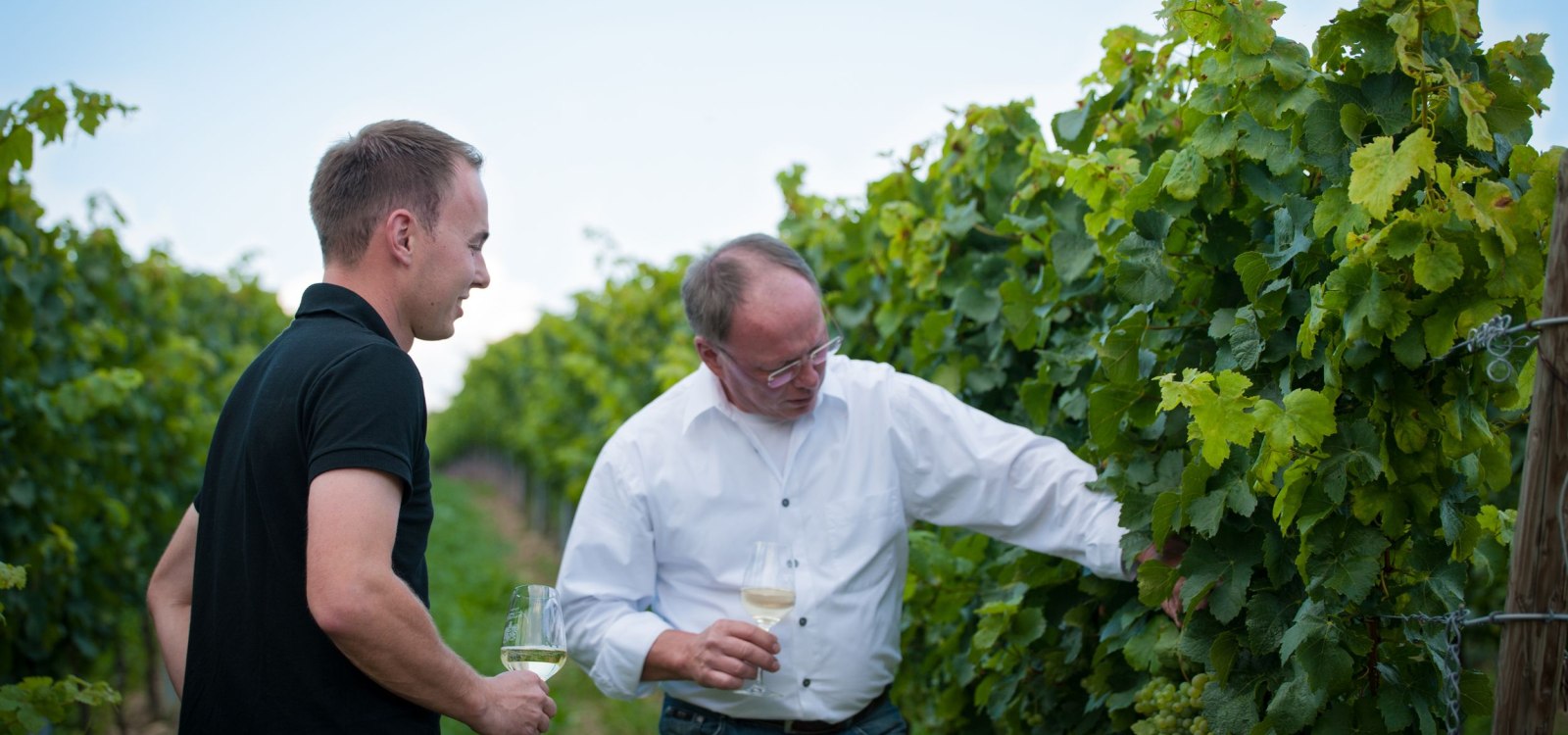 Weingut_Fritzsch_Sprendlingen_k