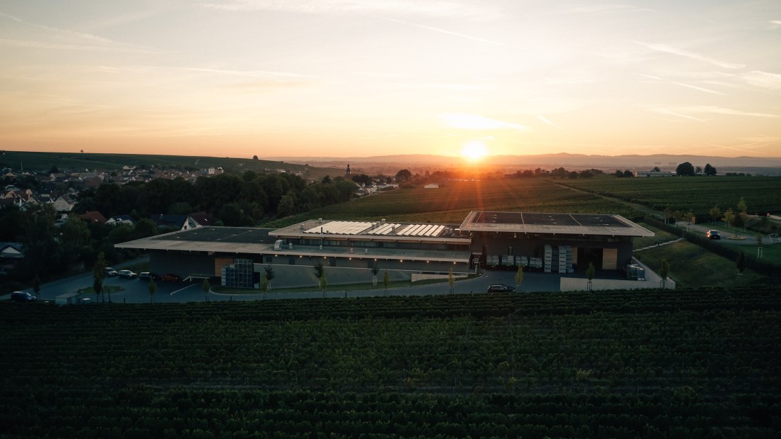 &copy; Weingut Dreissigacker