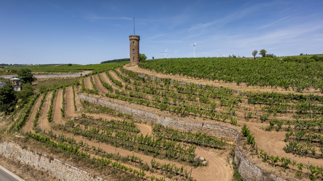 Weinheimer Heiliger Blutberg, © Torsten Silz