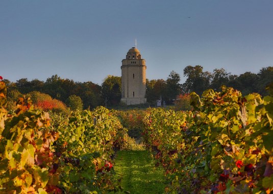 Bismarcktoren met uitzicht vanaf de wijngaarden