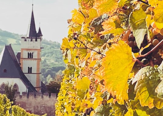 Genuss-KulTour Ober-Ingelheim