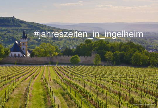 #jahreszeiten_in_ingelheim, &copy; Rainer Oppenheimer/Stadt Ingelheim