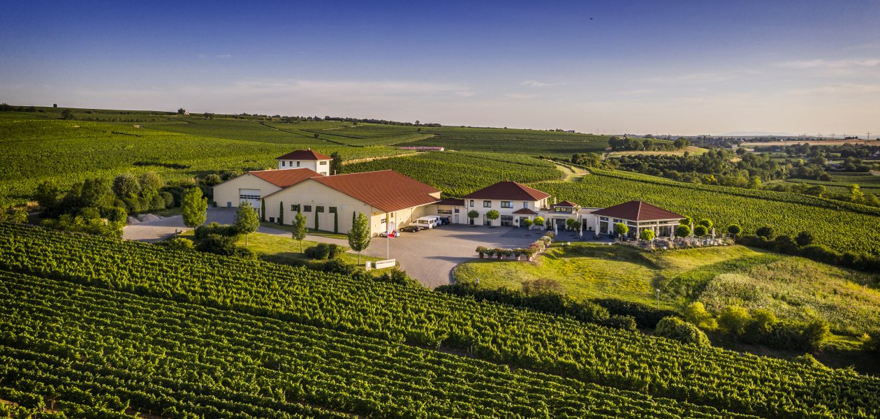 Weingut Raddeck_Weingut 2, &copy; Weingut Raddeck