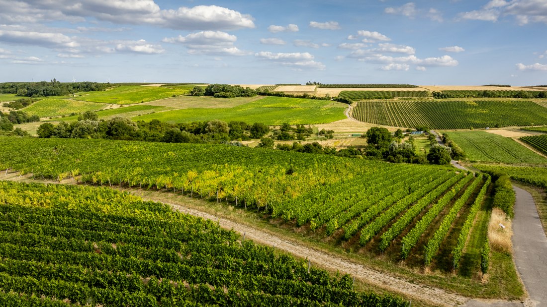 Partenheimer Sankt Georgen, © Torsten Silz