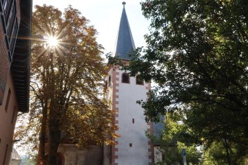 Ev. Kirche in Dorn-D&uuml;rkheim, &copy; Tourismus Service Center der Verbandsgemeinde Rhein-Selz