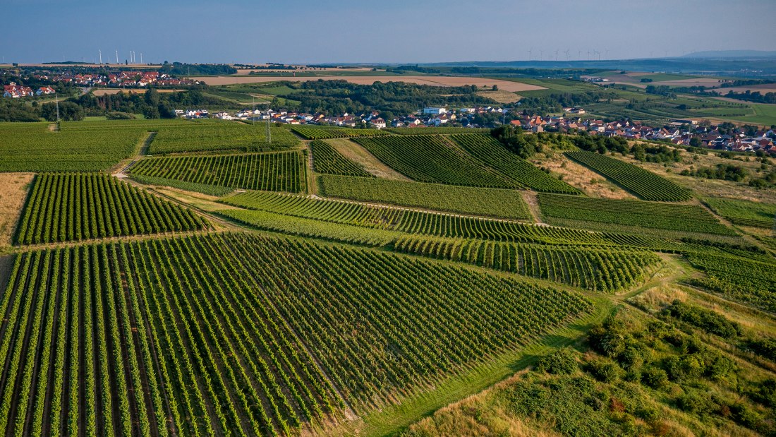 Sulzheimer Schildberg