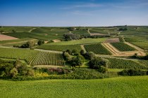Saulheimer Schlo&szlig;berg