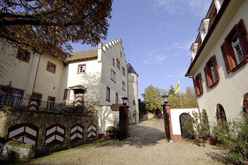 3 Kastelen binnenplaats, &copy; Weingut Schlo&szlig; Westerhaus