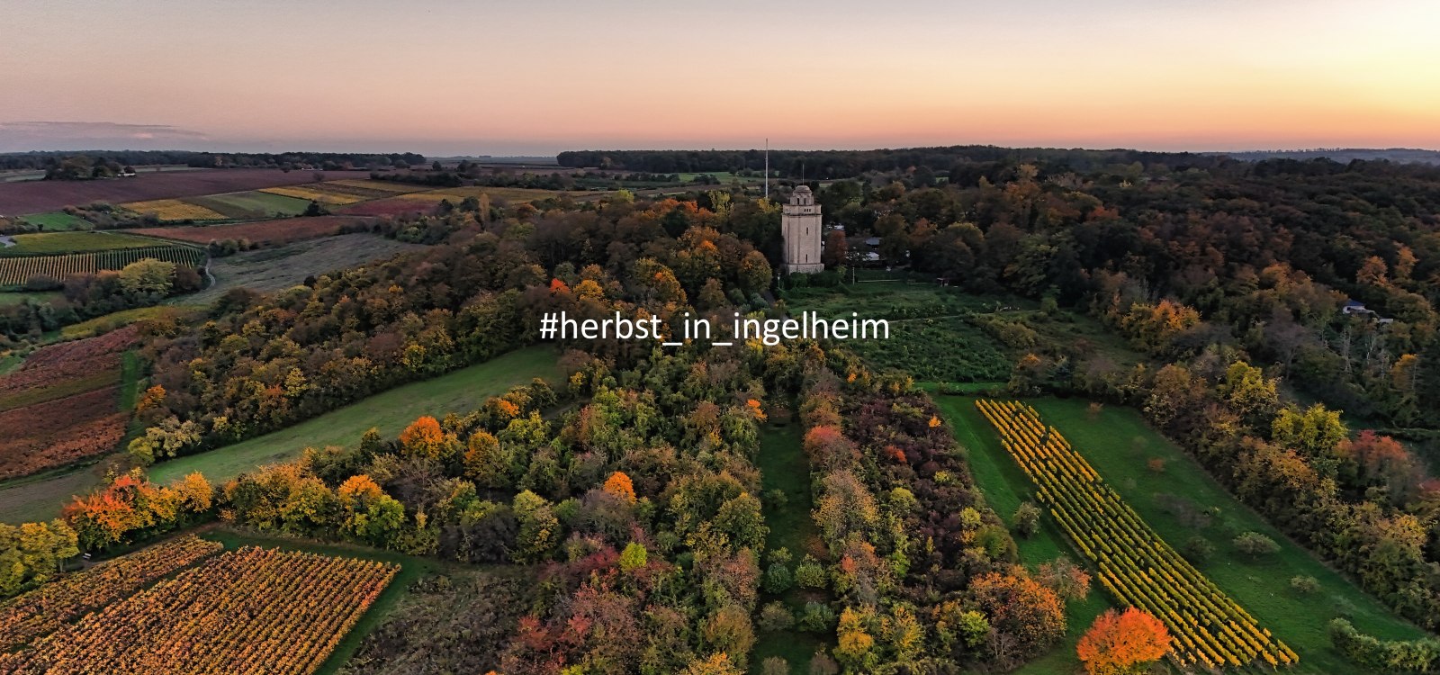 Bismarckturm im Herbst, Drohnenaufnahme, &copy; Stadt Ingelheim_Rainer Oppenheimer
