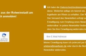 Leichte Sprache - Newsletter