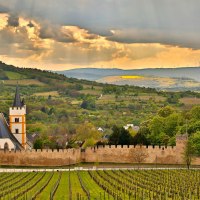 Wehrgang mit Blick auf die Burgkirche + Westerberg &copy; Rainer Oppenheimer/Stadt Ingelheim