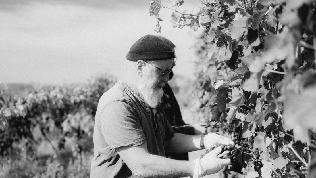 &Ouml;kologischer Weinbau Huster_Raimund Huster, &copy; &Ouml;kologischer Weinbau Huster