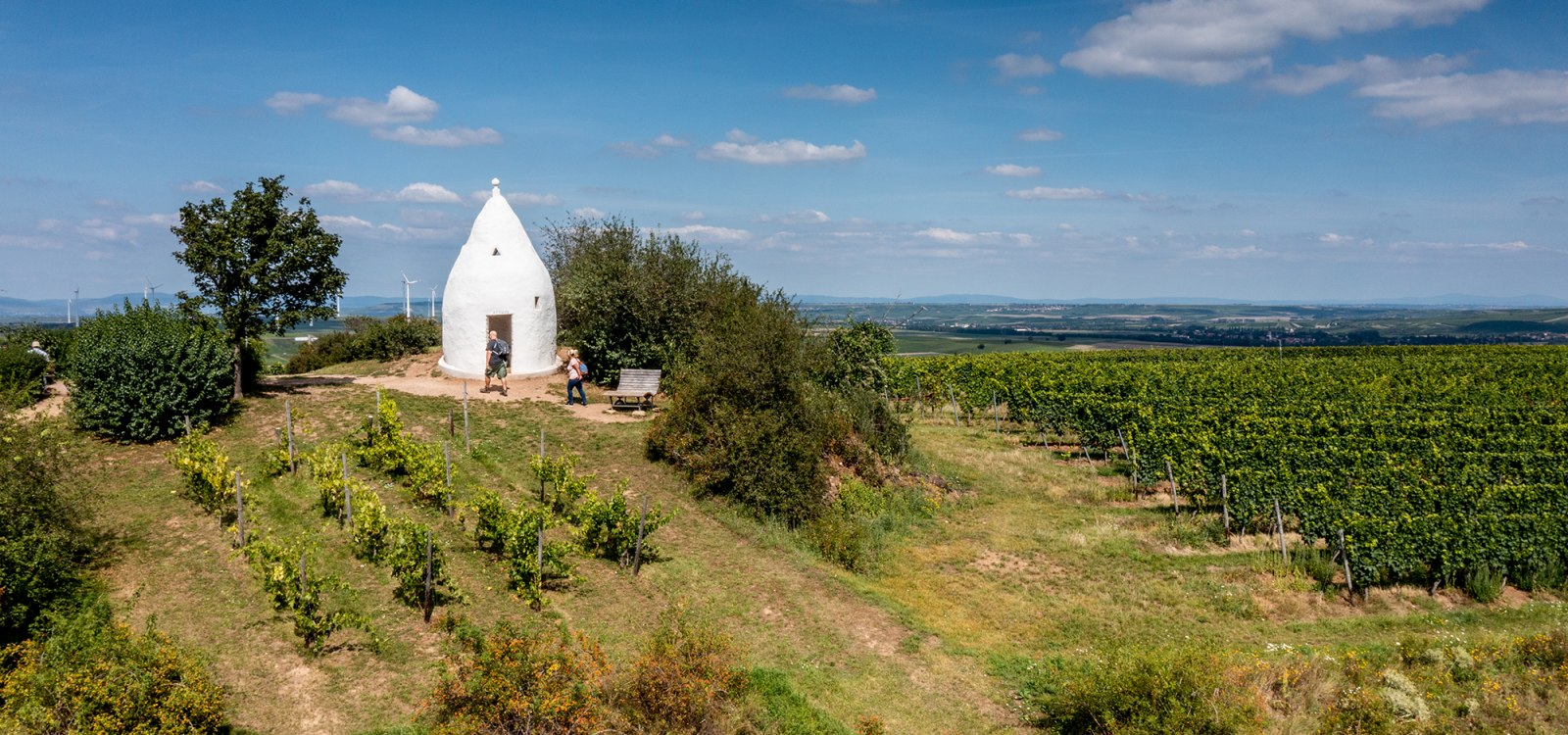 Flonheimer Rotenpfad, © Rheinhessenwein e.V./Torsten Silz